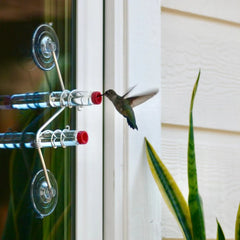 Geometric Window Hummingbird Feeder